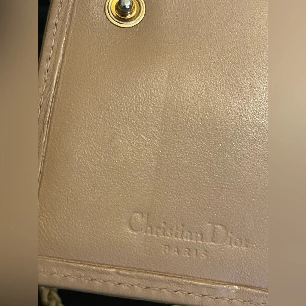 DIOR canvas wallet on chain